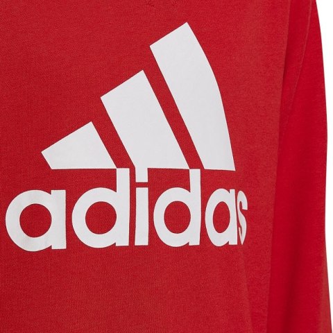 Bluza adidas Big Logo Swt Jr HN1911