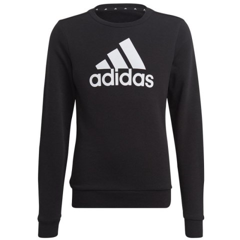 Bluza adidas Big Logo Swt Jr IC6117