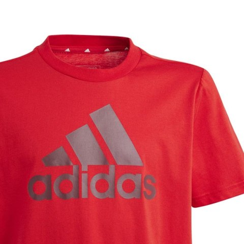 Koszulka adidas Big Logo Tee Jr IJ6262