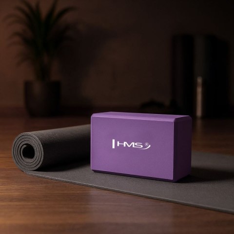 Kostki do jogi KJ01 PURPLE YOGA HMS 17-44-251