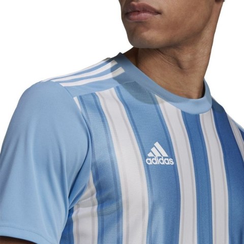 Koszulka adidas Striped 21 JSY M GN5845 Koszulka adidas Striped 21 JSY M GN5845