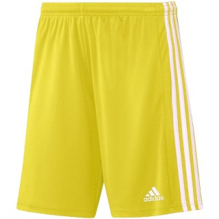 Spodenki adidas Squadra 21 Short Youth Jr GN5760