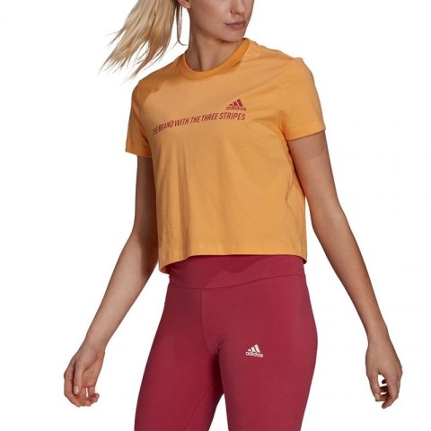 Koszulka adidas Gradient Logo Cropped W GM5579