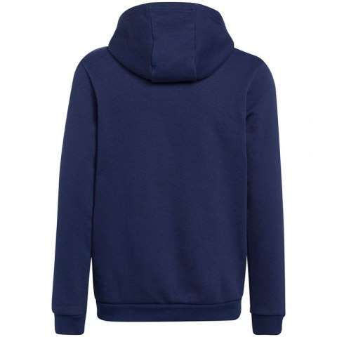 Bluza adidas Entrada 22 Hoody Jr H57517