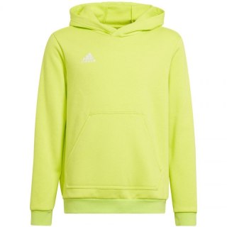 Bluza adidas Entrada 22 Hoody Jr HC5069