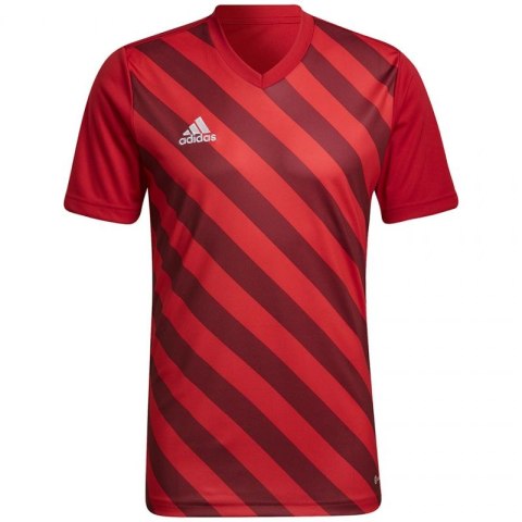 Koszulka adidas Entrada 22 Graphic Jersey M HB0572