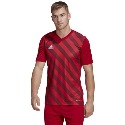 Koszulka adidas Entrada 22 Graphic Jersey M HB0572