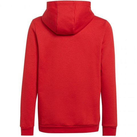 Bluza adidas Entrada 22 Hoody Jr H57566