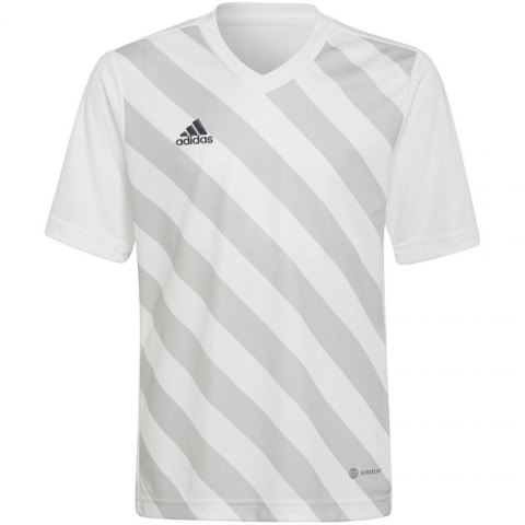 Koszulka adidas Entrada 22 Graphic Jersey Jr HF0120