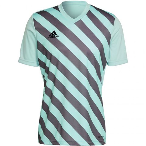 Koszulka adidas Entrada 22 Graphic Jersey M HF0119