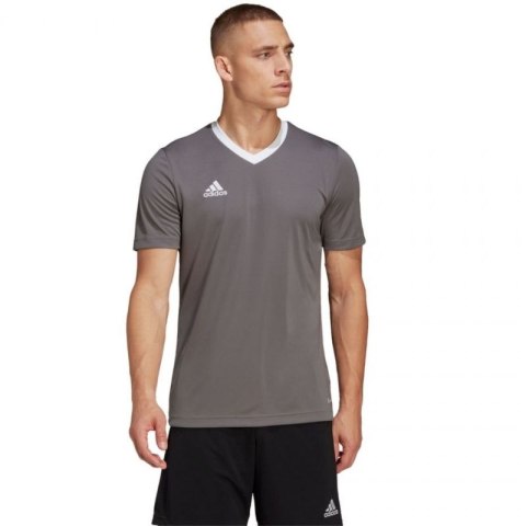 Koszulka adidas Entrada 22 Jersey M HE1574