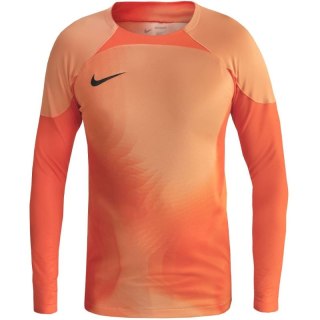 Koszulka bramkarska Nike Gardien IV Goalkeeper JSY M DH7967 819