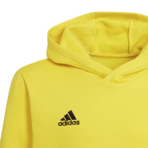 Bluza adidas Entrada 22 Hoody Y Jr HI2142