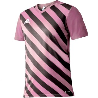 Koszulka adidas Entrada 22 Graphic Jersey Jr HC2632