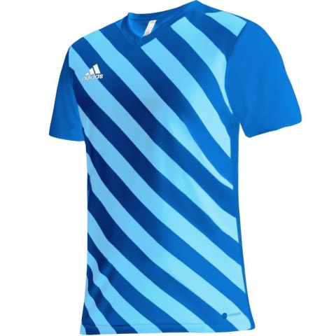 Koszulka adidas Entrada 22 Graphic Jersey Jr HF0130