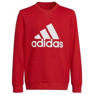 Bluza adidas Big Logo Swt Jr HN1911