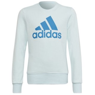 Bluza adidas Big Logo Swt Jr HM8707