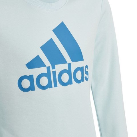 Bluza adidas Big Logo Swt Jr HM8707