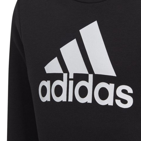 Bluza adidas Big Logo Swt Jr IC6117