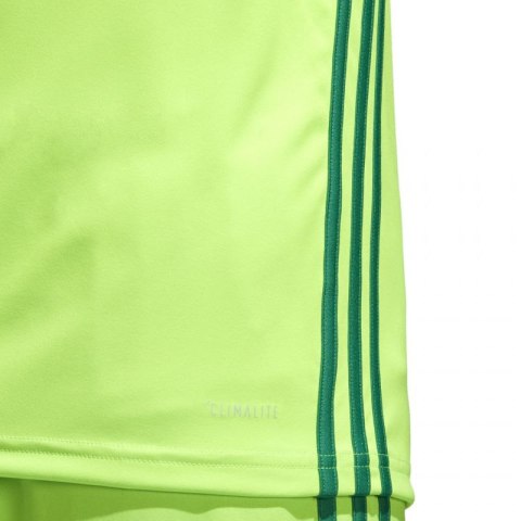 Koszulka piłkarska adidas Regista 18 Jersey M CE8973