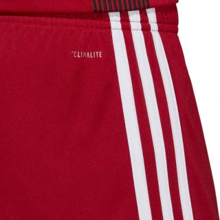 Spodenki adidas Tastigo 19 Shorts M DP3681