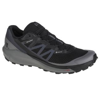 Buty Salomon Sense Ride 4 GTX M 413071