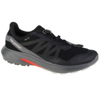 Buty do biegania Salomon Hypulse Gtx M 415959