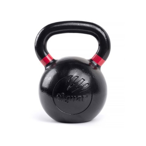 Odważnik tiguar kettlebell Raw V2 40kg TI-KB0040RV2