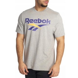 Koszulka Reebok Cl V Tee M Dy1151