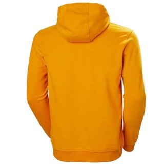 Bluza Helly Hansen Logo Hoodie M 33977-328