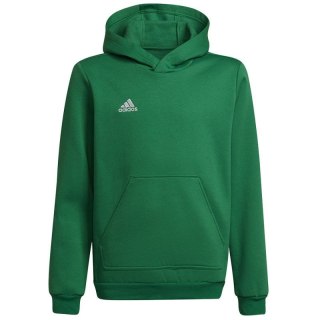 Bluza adidas Entrada 22 Hoody Y Jr HI2143