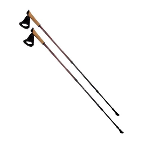 Kije Nordic walking Elbrus Cliogo 92800385398 Elbrus